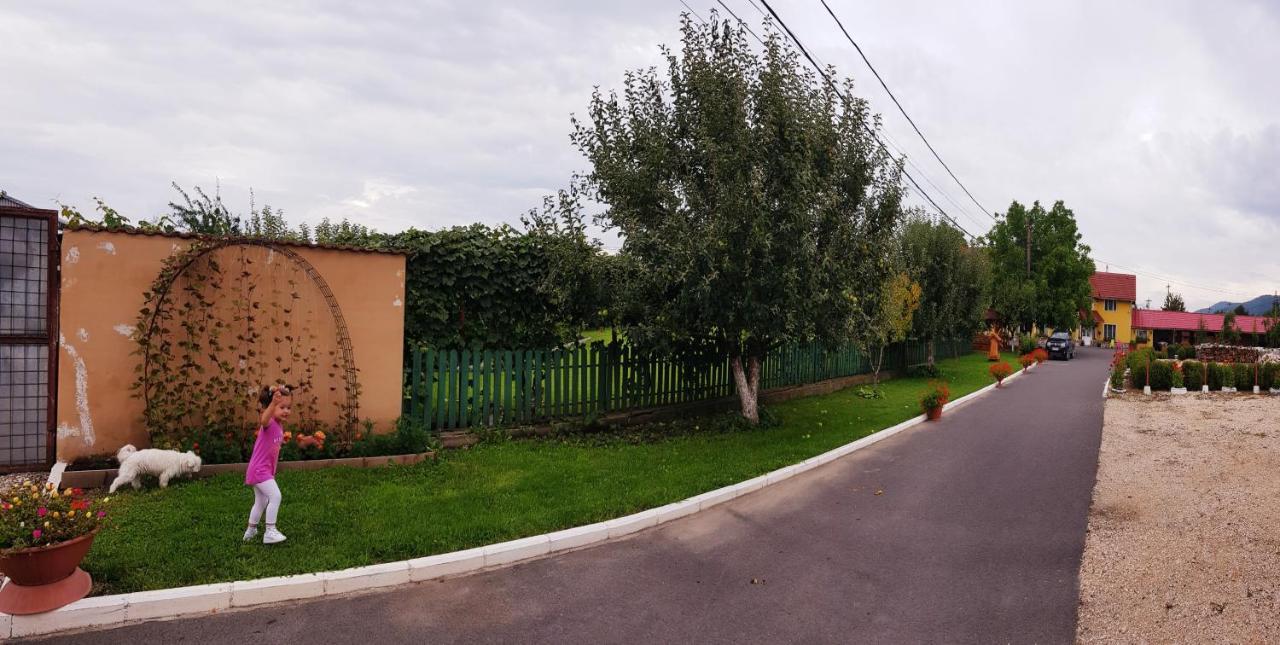 Cazare La Troita Hotel Codlea Luaran gambar